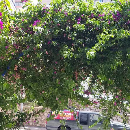 Iraa's * סרנדה
